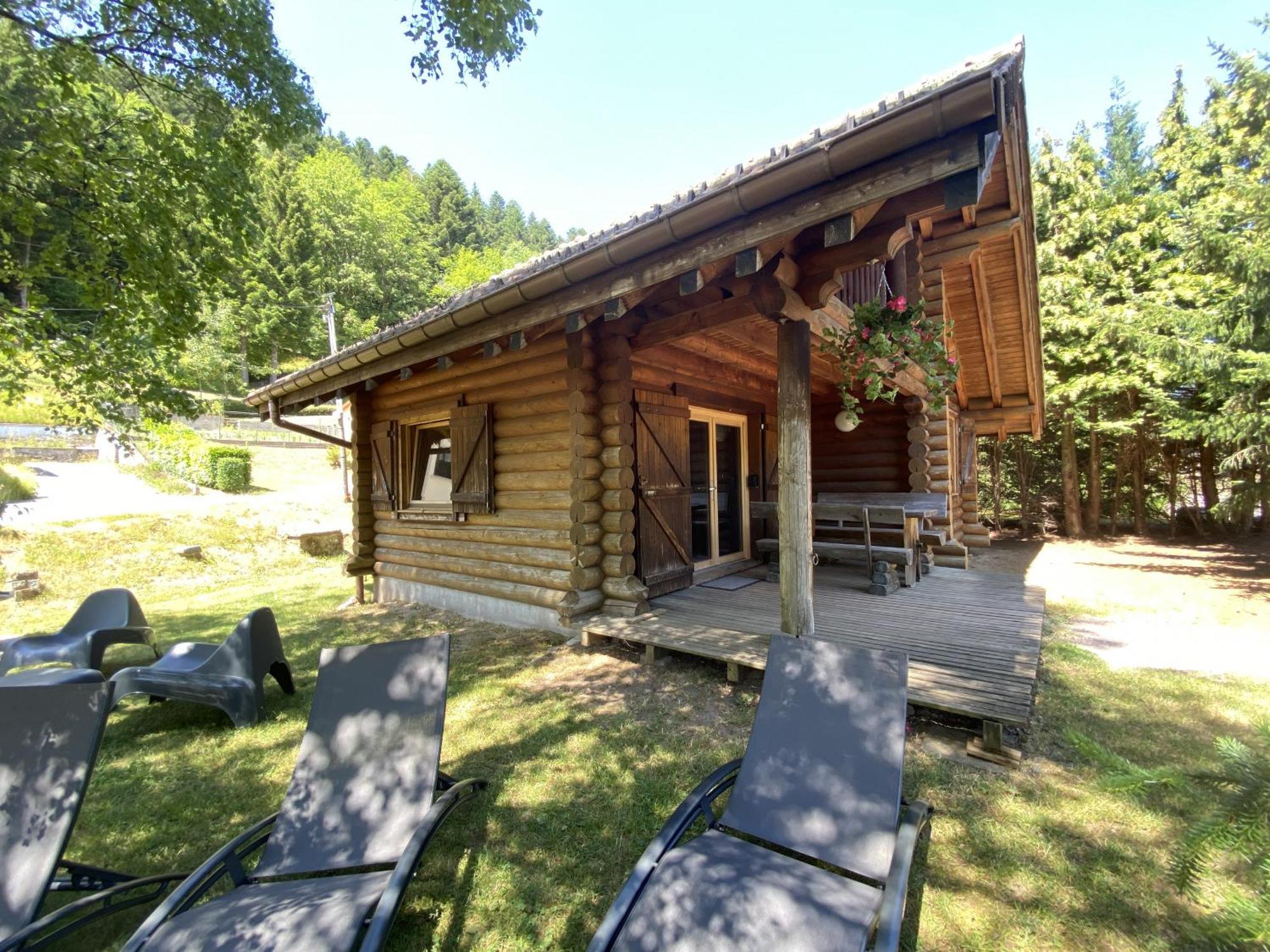 L'Oursblanc Chalet En Rondins Ла-Бресс Экстерьер фото